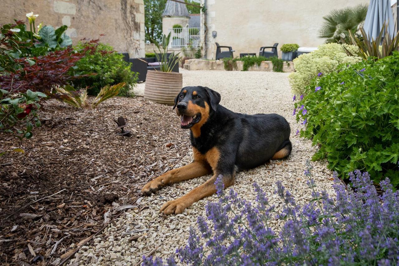 Manoir De La Mazeraie, Ideal Pour Le Teletravail Joué-lés-Tours Kültér fotó
